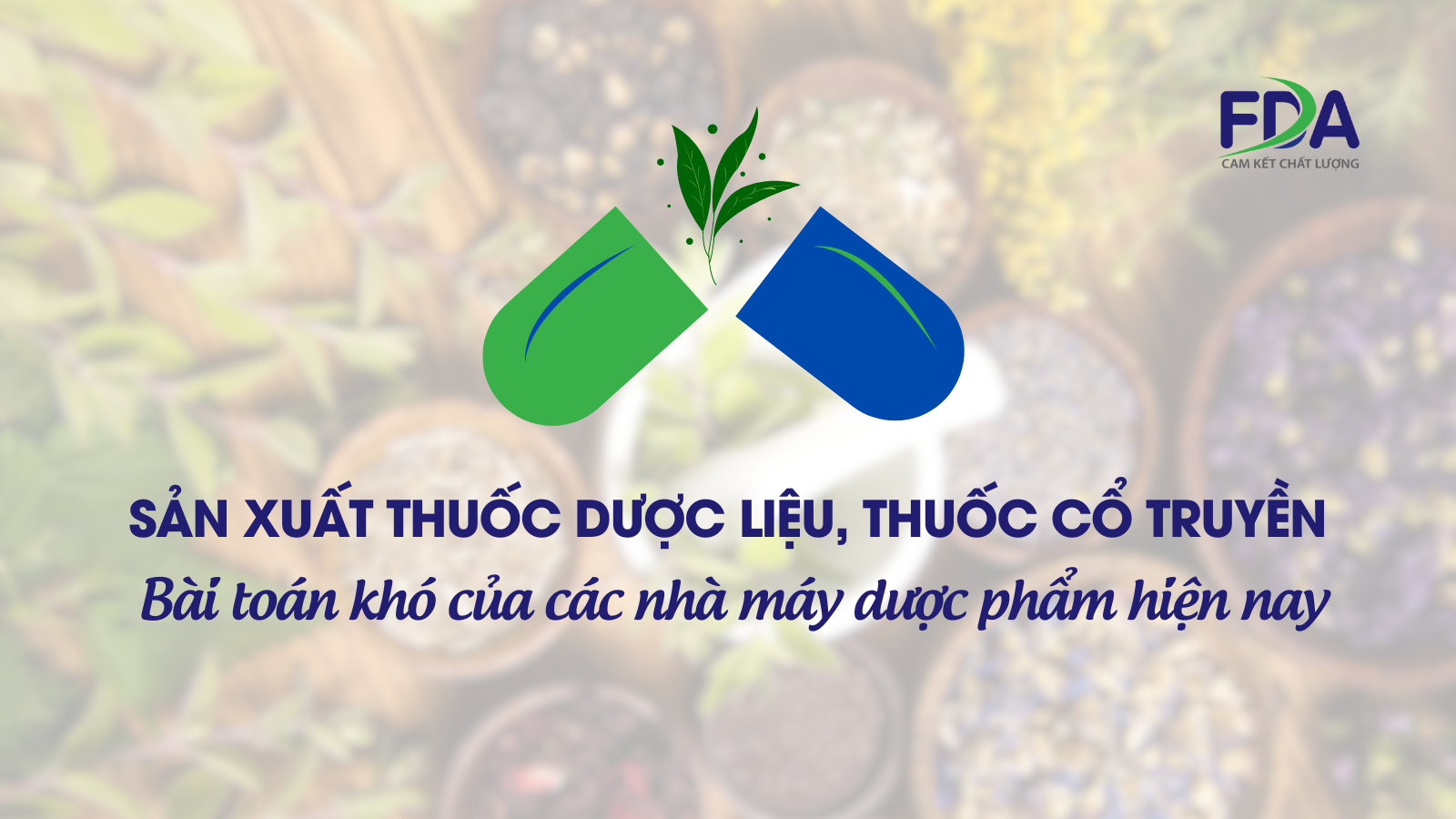 SẢN XUẤT THUỐC DƯỢC LIỆU, THUỐC CỔ TRUYỀN: BÀI TOÁN KHÓ CỦA CÁC NHÀ MÁY DƯỢC PHẨM